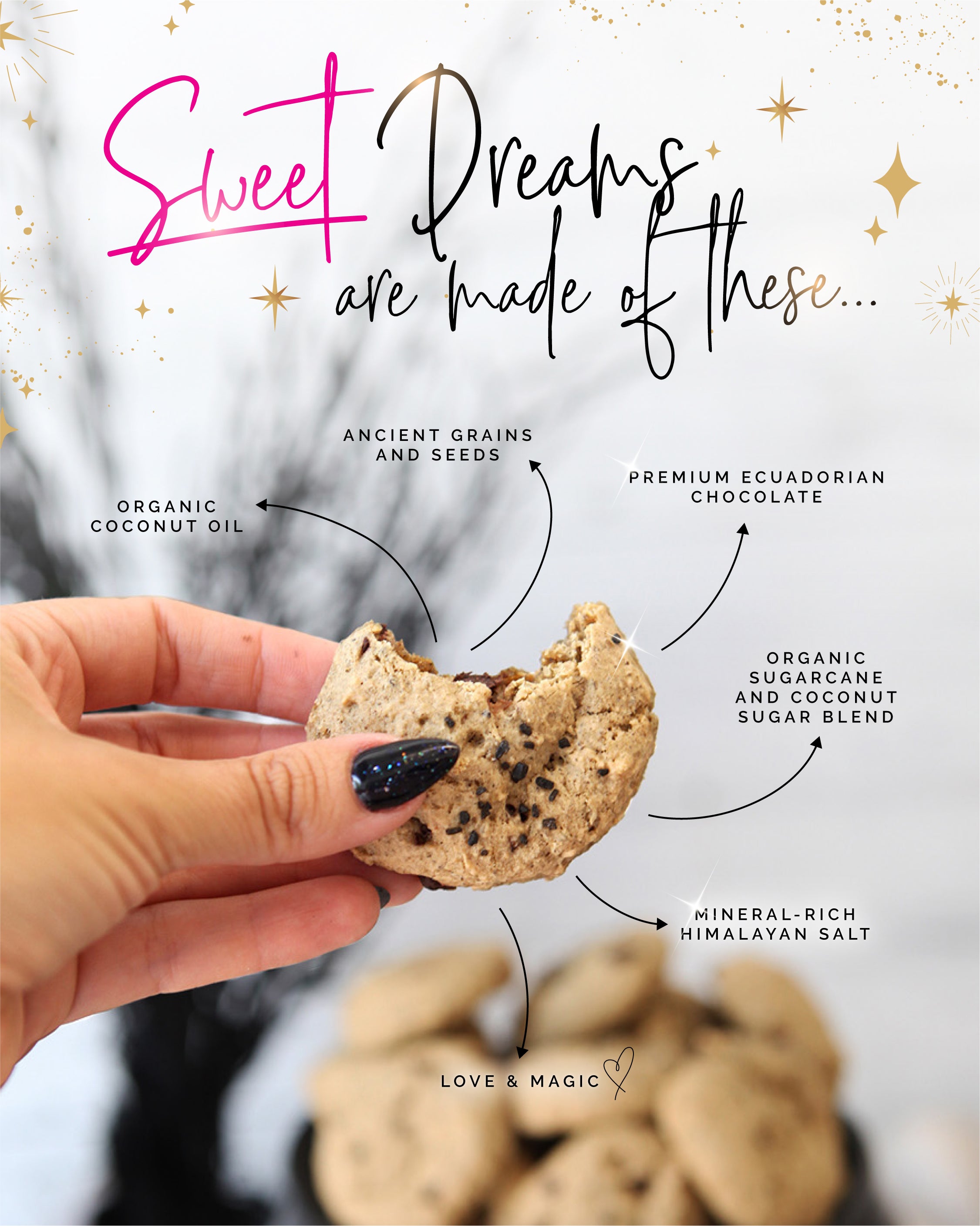Celestial Chunk, Bag of 12 Mini Cookies