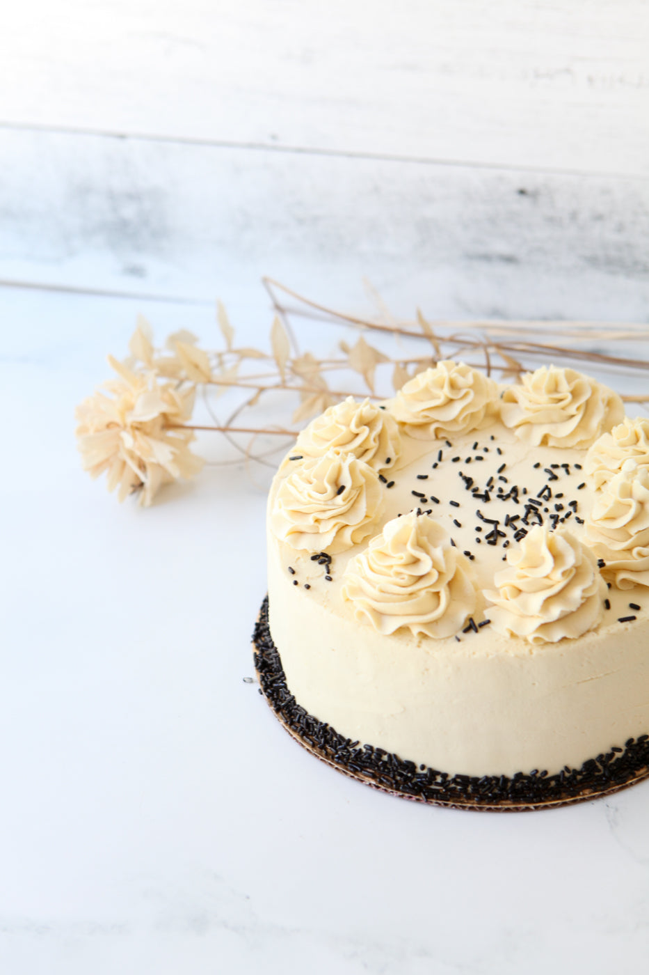 Birthday Cake: Vanilla/Choco Innocence