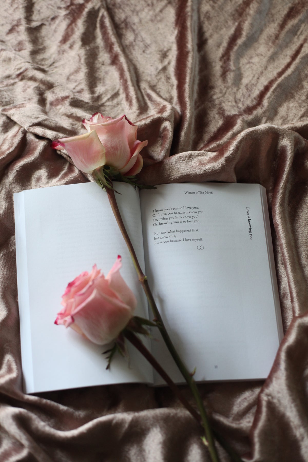Woman of the Moon: A compilation of poems aspiring to describe love